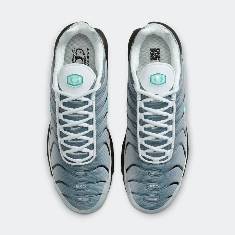Nike Air Max Plus "Grey" One Block Down