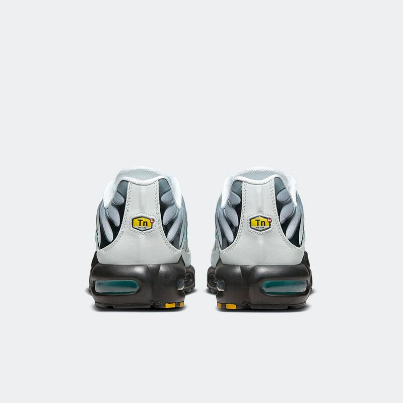 Nike Air Max Plus "Grey" One Block Down