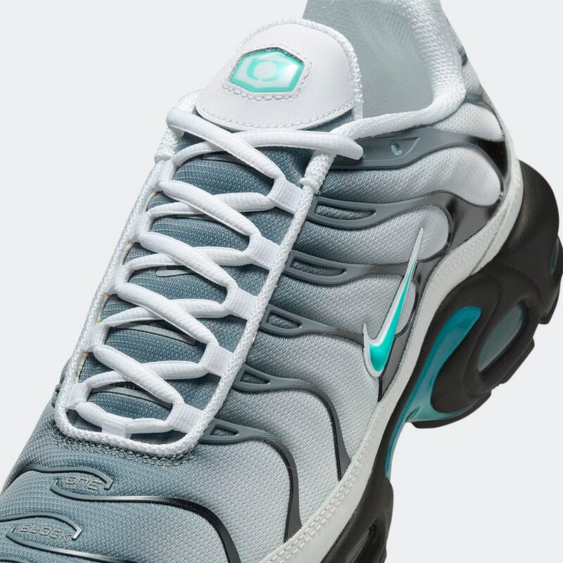 Nike Air Max Plus "Grey" One Block Down