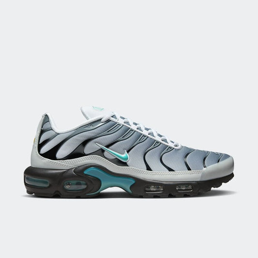 Nike Air Max Plus "Grey" One Block Down