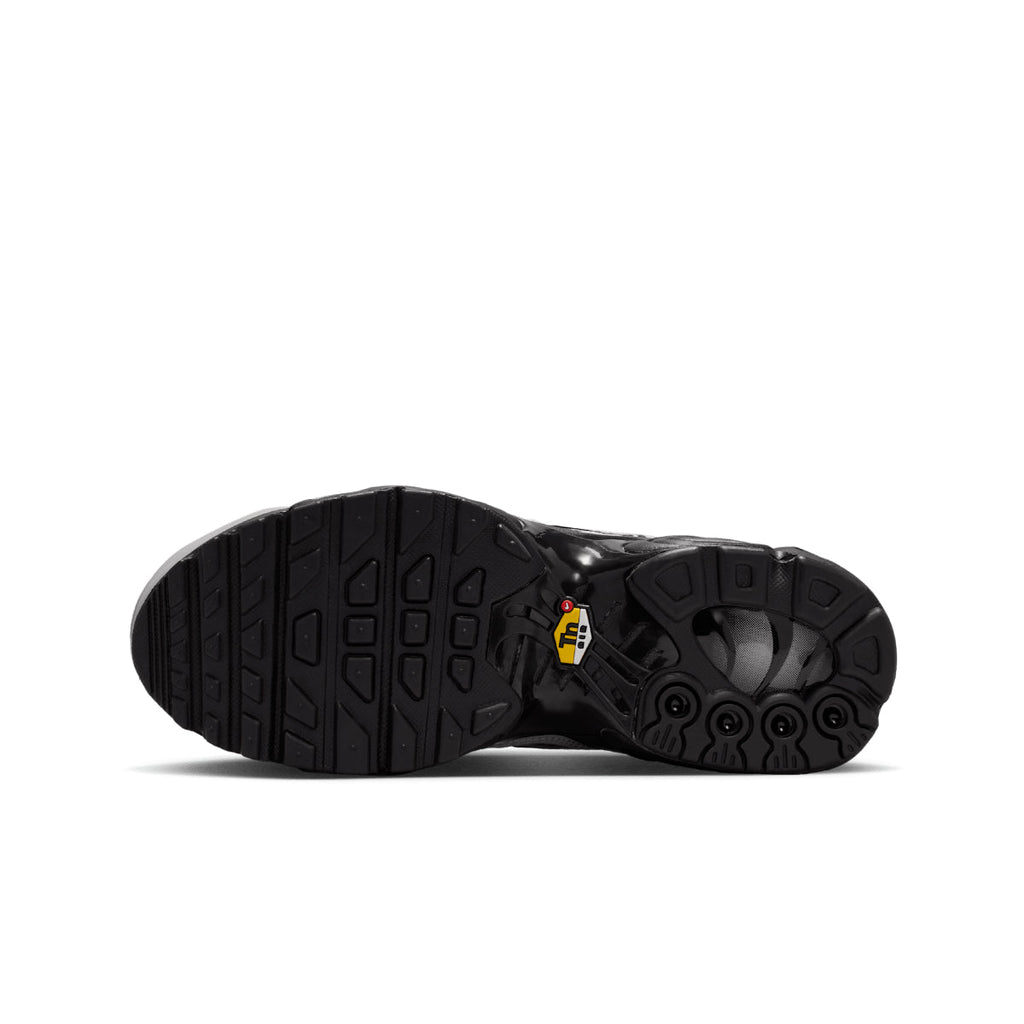 Nike Air Max Plus "Tuned" Silver