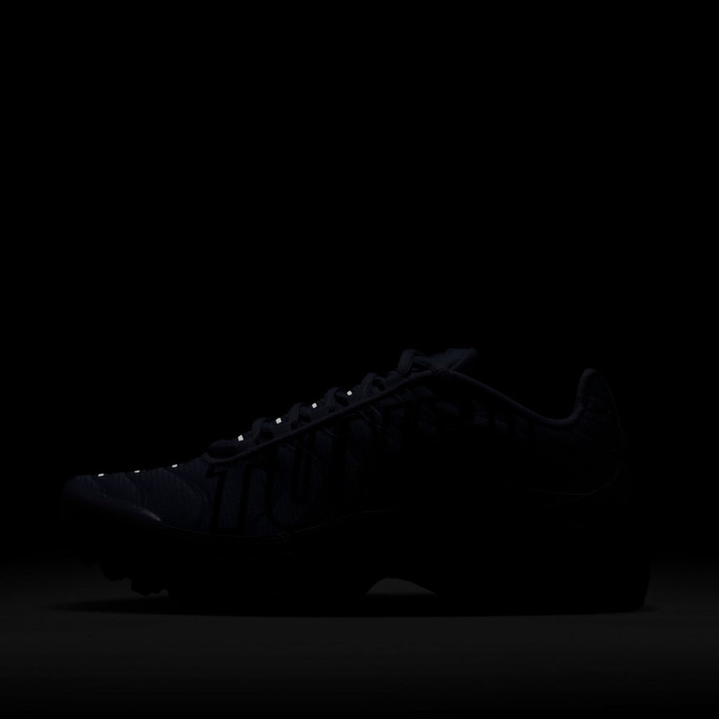 Nike Air Max Plus "Tuned" Silver